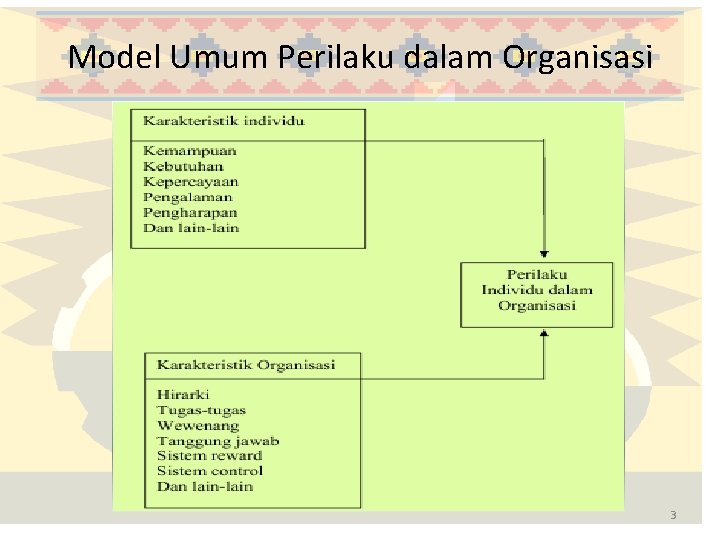 Model Umum Perilaku dalam Organisasi 3 