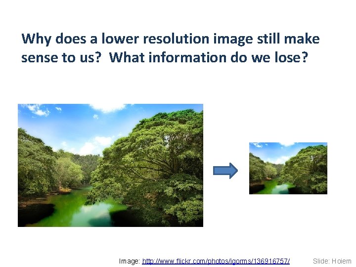 Why does a lower resolution image still make sense to us? What information do