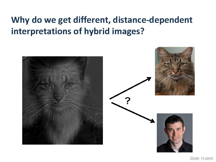 Why do we get different, distance-dependent interpretations of hybrid images? ? Slide: Hoiem 