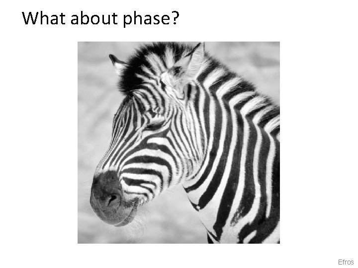 What about phase? Efros 