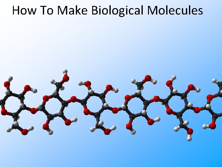 How To Make Biological Molecules 