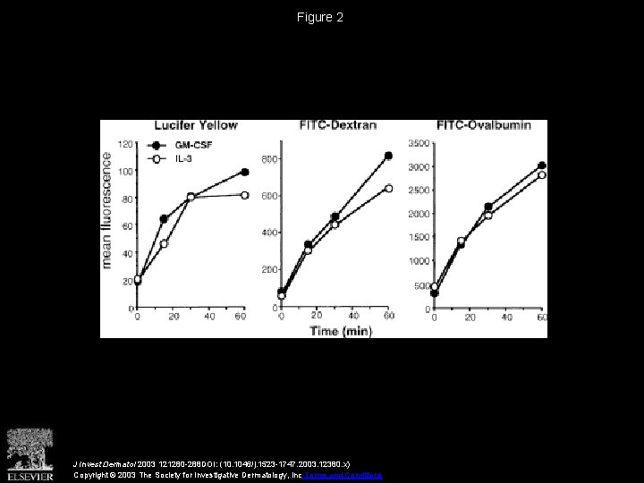 Figure 2 J Invest Dermatol 2003 121280 -288 DOI: (10. 1046/j. 1523 -1747. 2003.