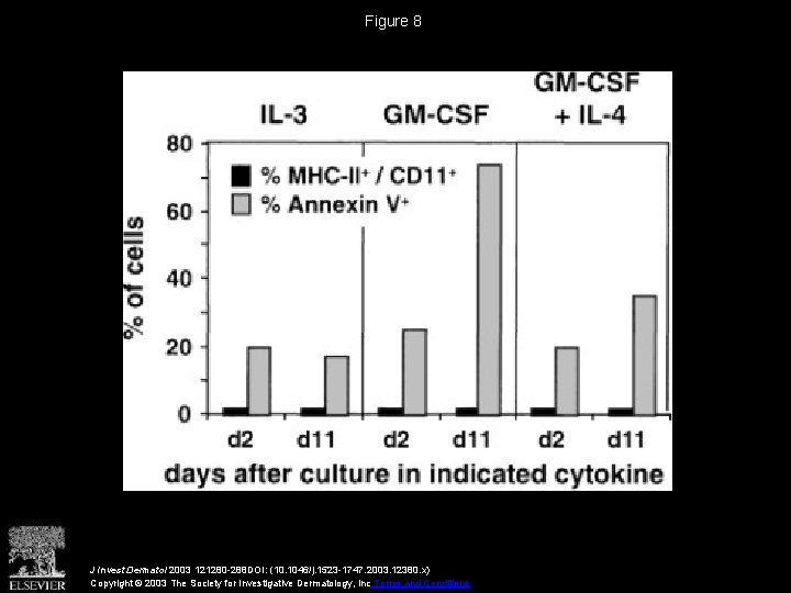 Figure 8 J Invest Dermatol 2003 121280 -288 DOI: (10. 1046/j. 1523 -1747. 2003.