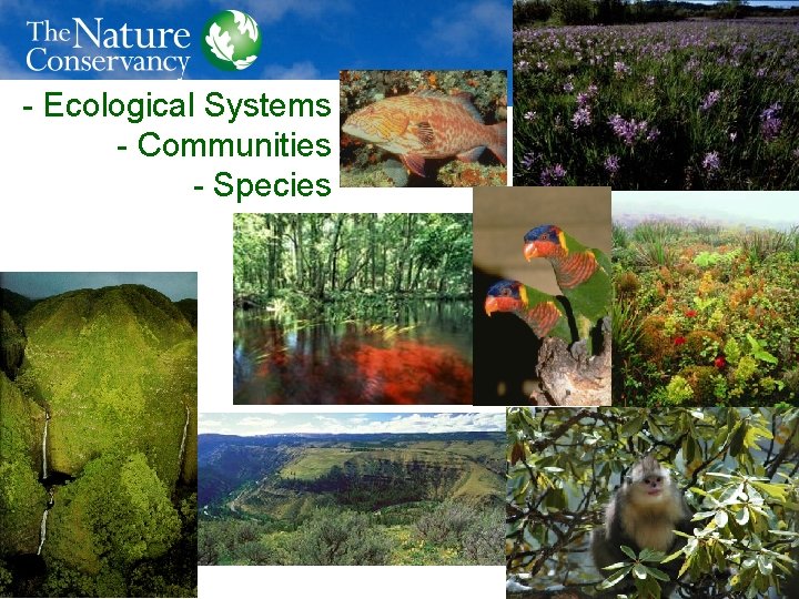 - Ecological Systems - Communities - Species 