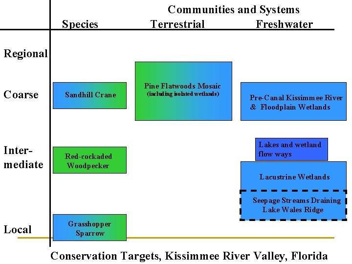 Species Communities and Systems Terrestrial Freshwater Regional Coarse Intermediate Pine Flatwoods Mosaic Sandhill Crane