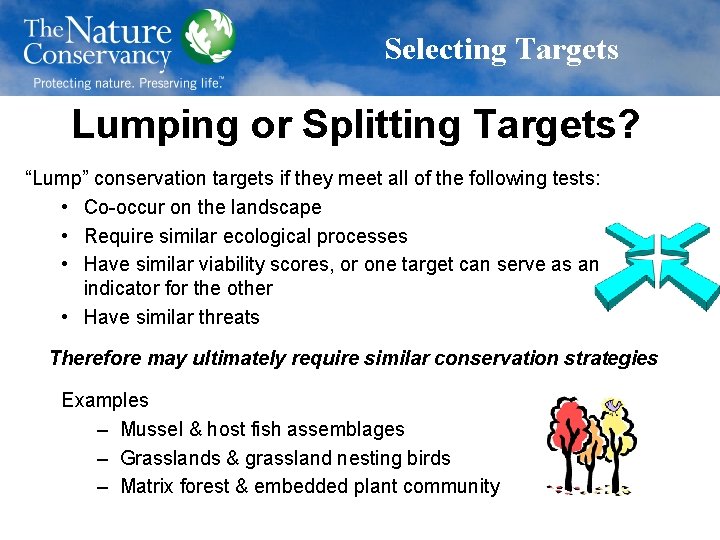 Selecting Targets Lumping or Splitting Targets? “Lump” conservation targets if they meet all of