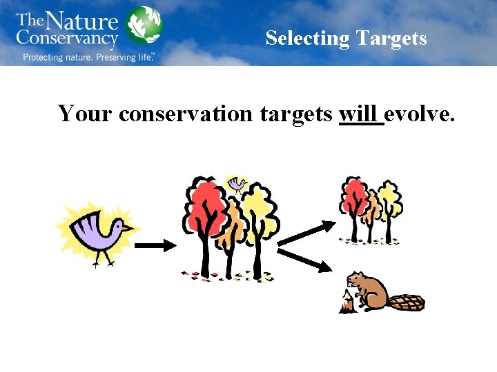 Selecting Targets Your conservation targets will evolve. 