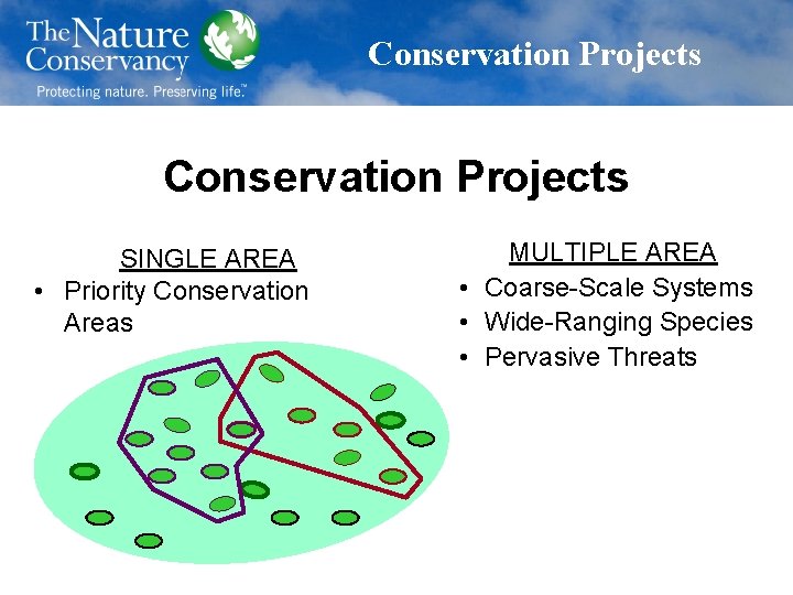 Conservation Projects SINGLE AREA • Priority Conservation Areas MULTIPLE AREA • Coarse-Scale Systems •
