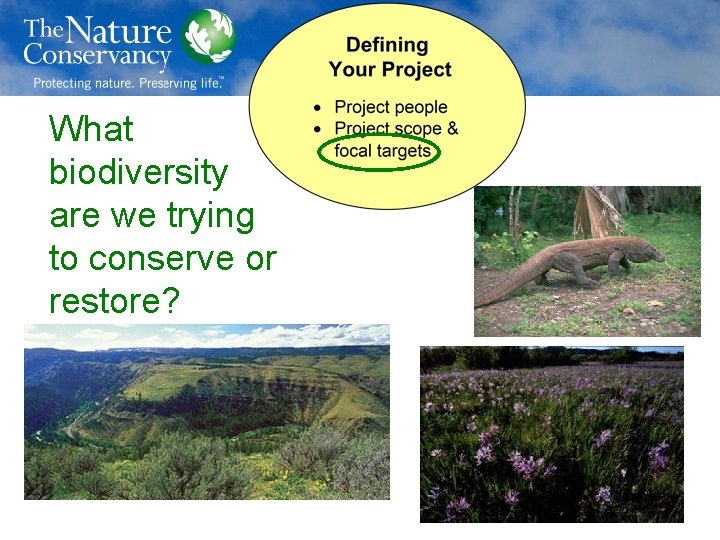 What biodiversity are we trying to conserve or restore? 