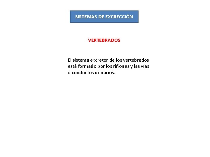 SISTEMAS DE EXCRECCIÓN VERTEBRADOS El sistema excretor de los vertebrados está formado por los