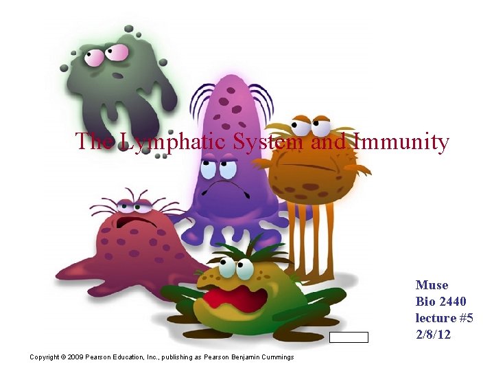 The Lymphatic System and Immunity Muse Bio 2440 lecture #5 2/8/12 Copyright © 2009