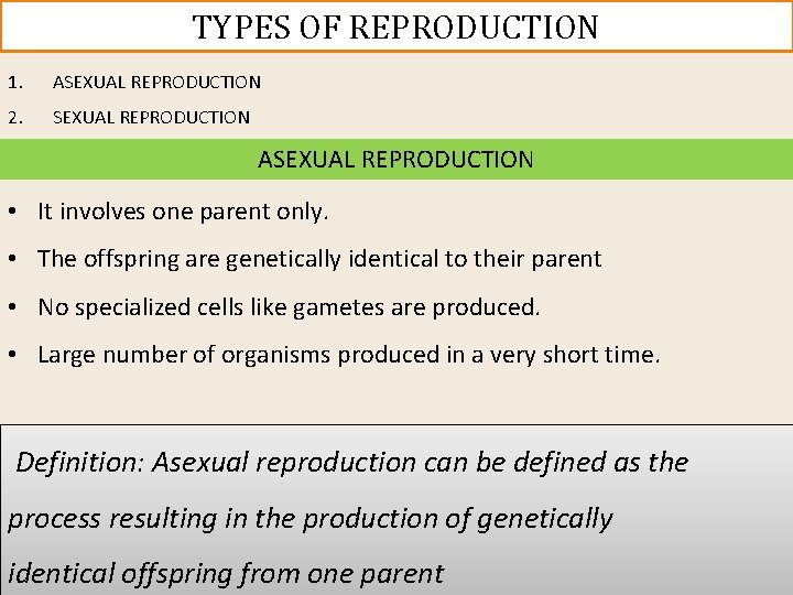 TYPES OF REPRODUCTION 1. ASEXUAL REPRODUCTION 2. SEXUAL REPRODUCTION ASEXUAL REPRODUCTION • It involves