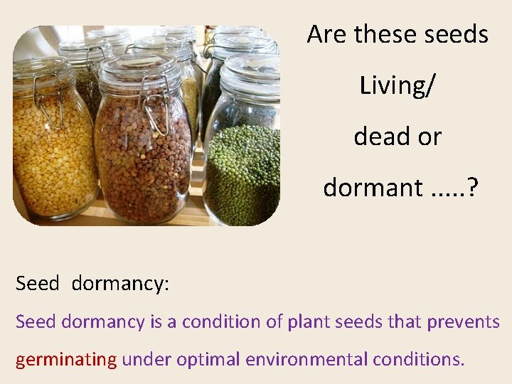 Are these seeds Living/ dead or dormant. . . ? Seed dormancy: Seed dormancy