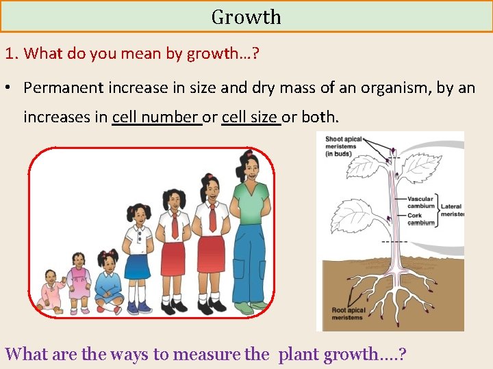 Growth 1. What do you mean by growth…? • Permanent increase in size and