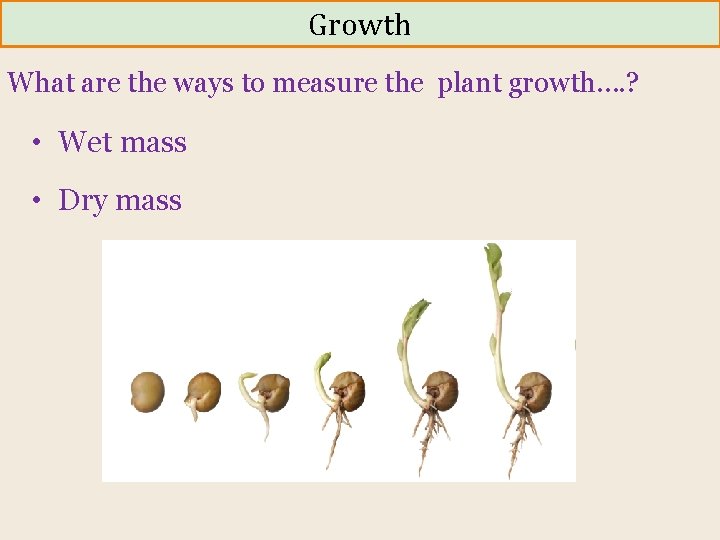 Growth What are the ways to measure the plant growth…. ? • Wet mass