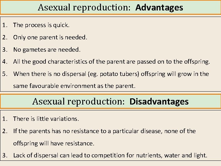 Asexual reproduction: Advantages 1. The process is quick. 2. Only one parent is needed.
