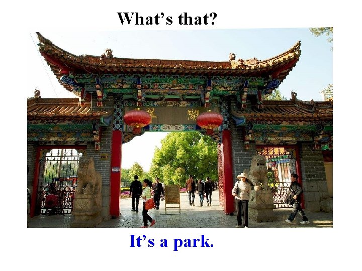 What’s that? It’s a park. 