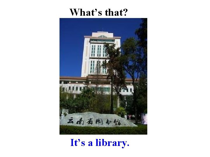 What’s that? It’s a library. 