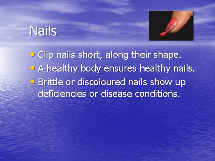 Nails • Clip nails short, along their shape. • A healthy body ensures healthy