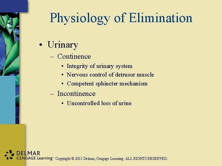 Physiology of Elimination • Urinary – Continence • Integrity of urinary system • Nervous