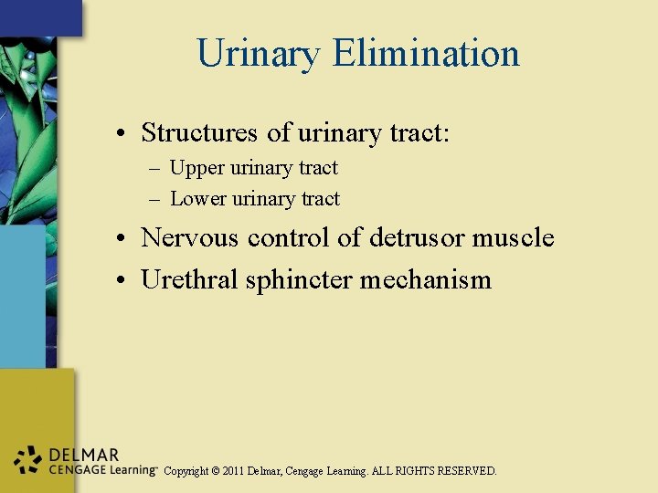 Urinary Elimination • Structures of urinary tract: – Upper urinary tract – Lower urinary