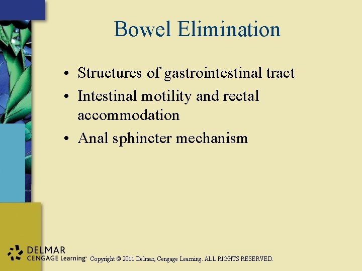 Bowel Elimination • Structures of gastrointestinal tract • Intestinal motility and rectal accommodation •