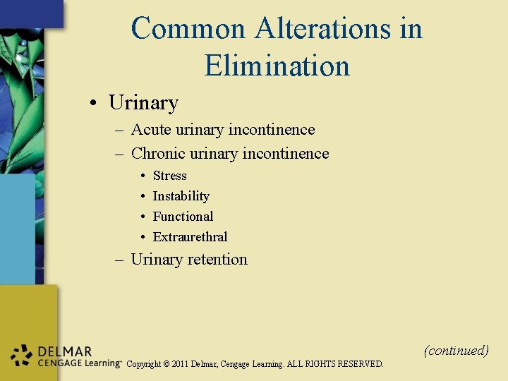 Common Alterations in Elimination • Urinary – Acute urinary incontinence – Chronic urinary incontinence