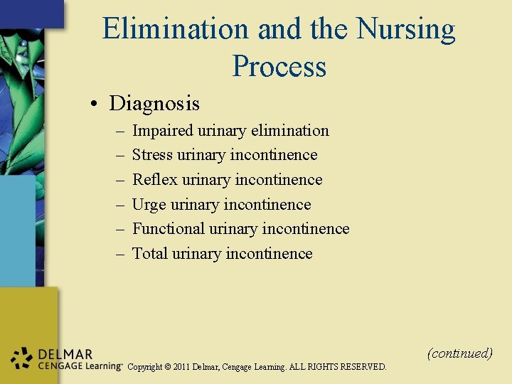 Elimination and the Nursing Process • Diagnosis – – – Impaired urinary elimination Stress