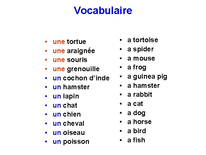 Vocabulaire • • • une tortue une araignée une souris une grenouille un cochon