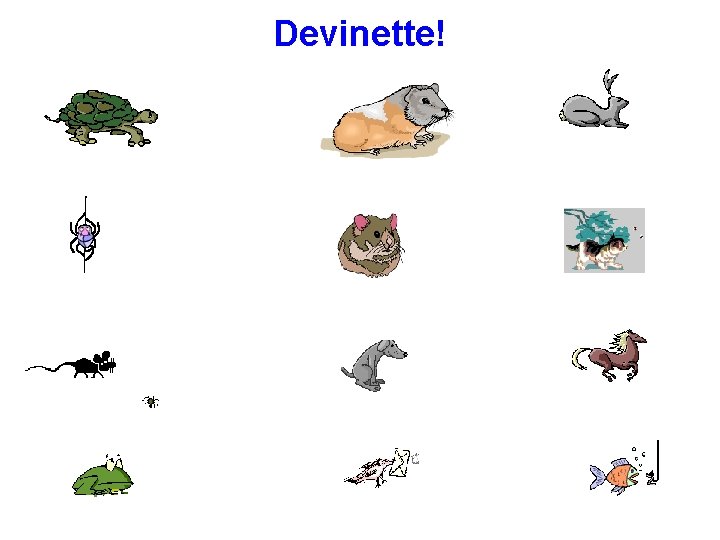 Devinette! 