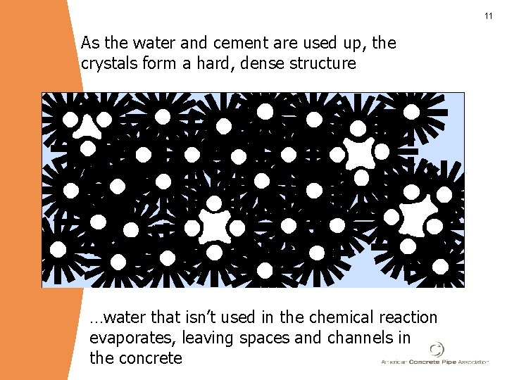 11 As the water and cement are used up, the crystals form a hard,