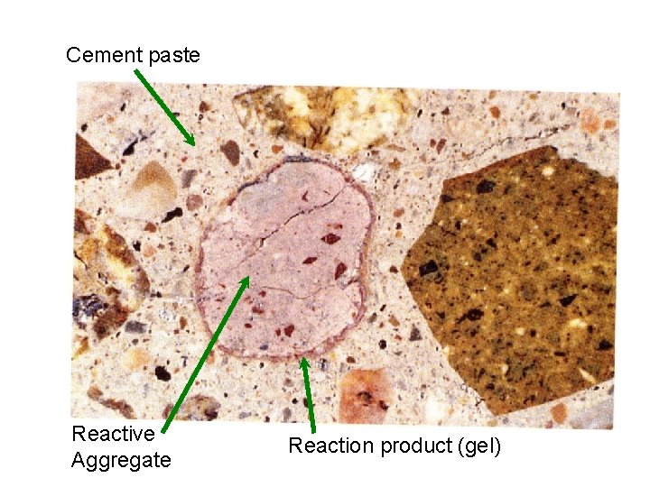Cement paste Reactive Aggregate Reaction product (gel) 
