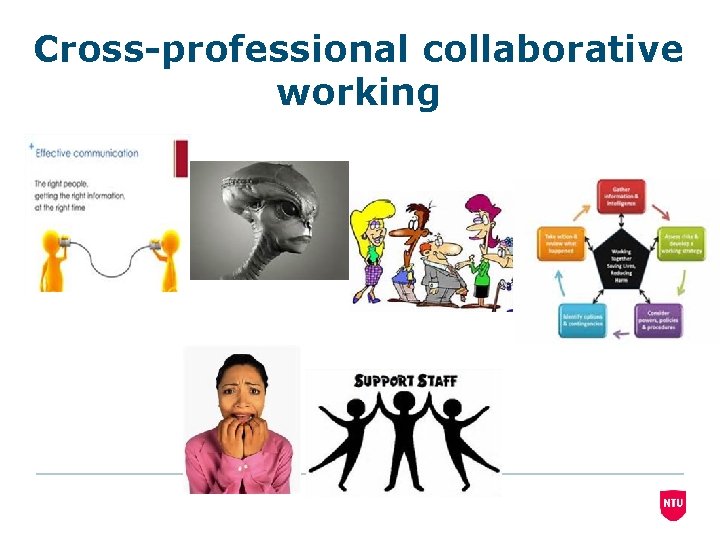 Cross-professional collaborative working 