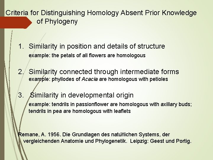 Criteria for Distinguishing Homology Absent Prior Knowledge of Phylogeny 1. Similarity in position and