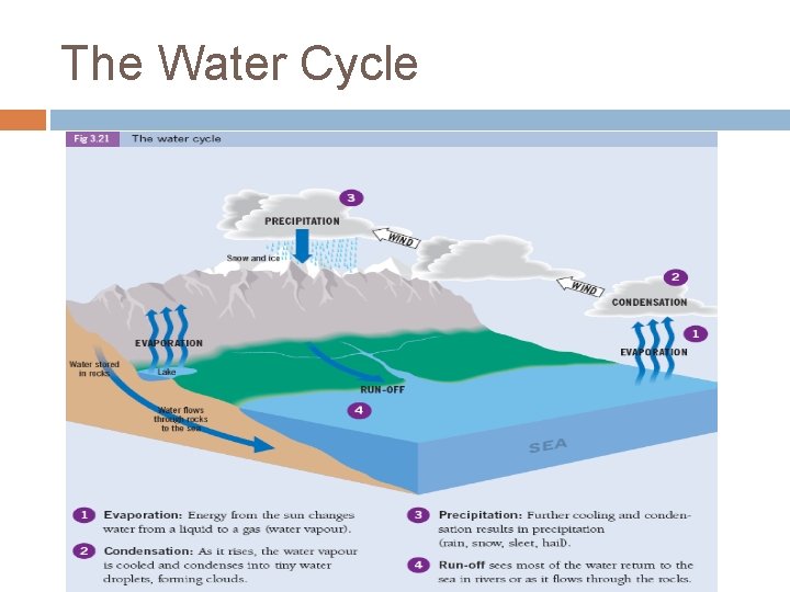 The Water Cycle 