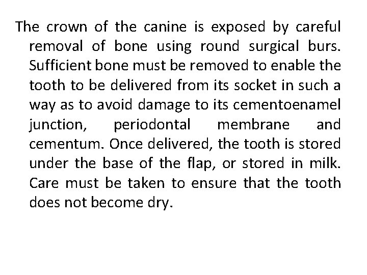 The crown of the canine is exposed by careful removal of bone using round