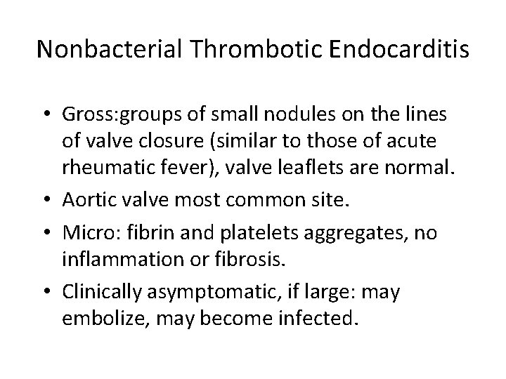 Nonbacterial Thrombotic Endocarditis • Gross: groups of small nodules on the lines of valve