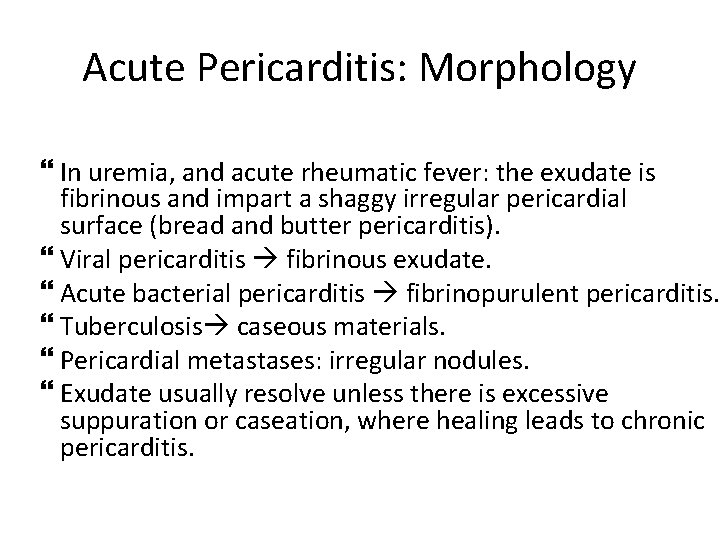 Acute Pericarditis: Morphology In uremia, and acute rheumatic fever: the exudate is fibrinous and