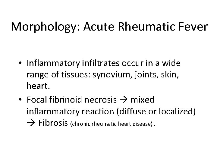 Morphology: Acute Rheumatic Fever • Inflammatory infiltrates occur in a wide range of tissues: