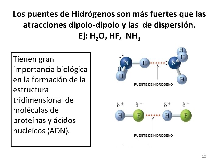 Los puentes de Hidrógenos son más fuertes que las atracciones dipolo-dipolo y las de