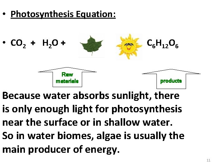  • Photosynthesis Equation: • CO 2 + H 2 O + Raw materials