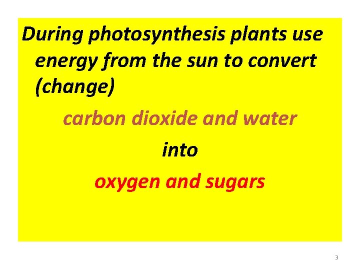 During photosynthesis plants use energy from the sun to convert (change) carbon dioxide and