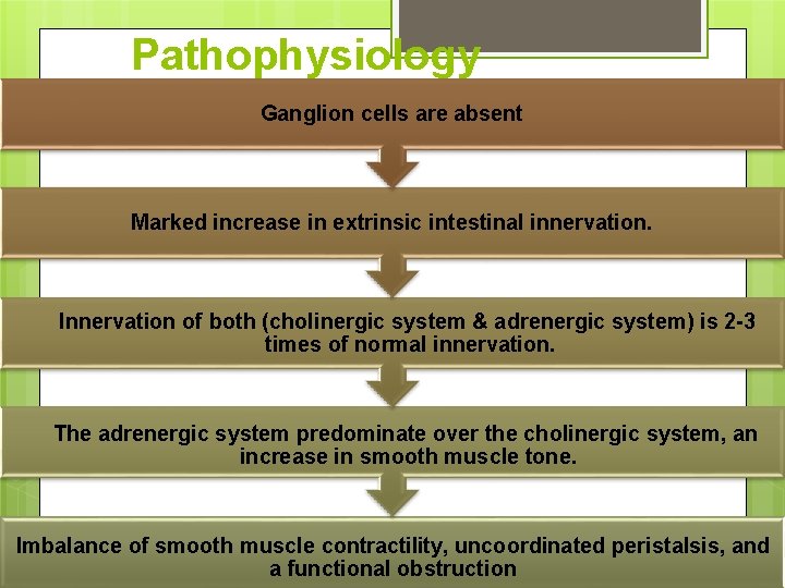 Pathophysiology Ganglion cells are absent Marked increase in extrinsic intestinal innervation. Innervation of both