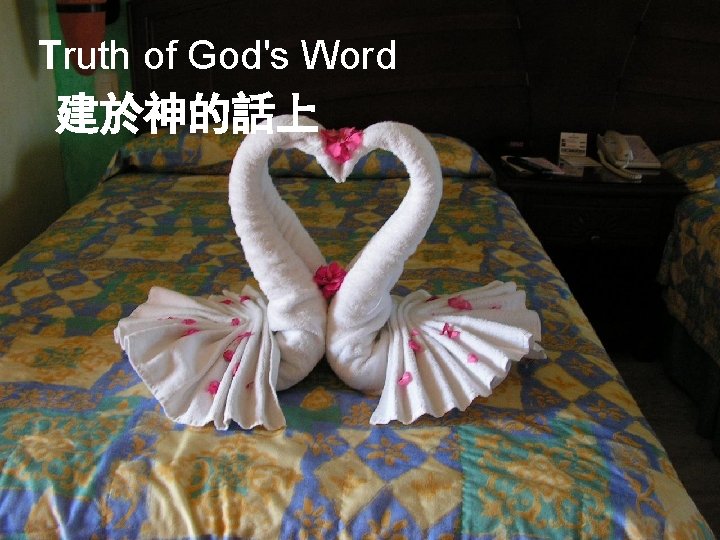 Truth of God's Word 建於神的話上 