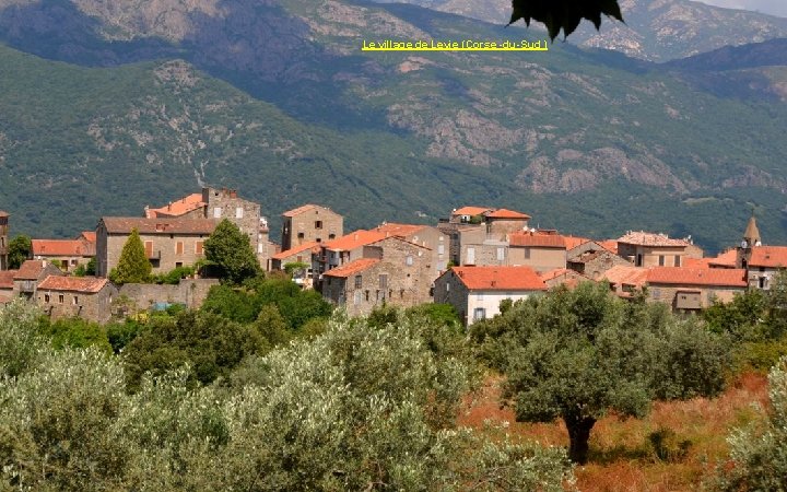 Le village de Levie (Corse -du-Sud ) 