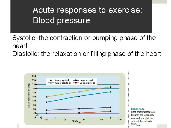 Acute responses to exercise: Blood pressure Systolic: the contraction or pumping phase of the