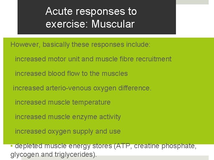 Acute responses to exercise: Muscular However, basically these responses include: • increased motor unit