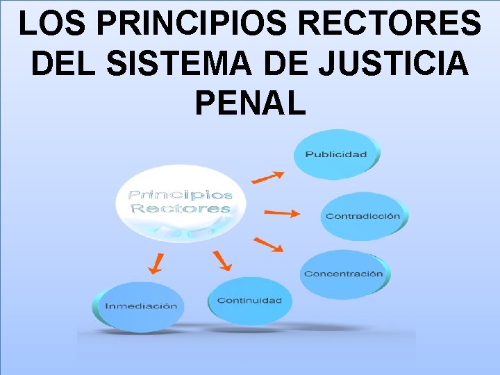 LOS PRINCIPIOS RECTORES DEL SISTEMA DE JUSTICIA PENAL 