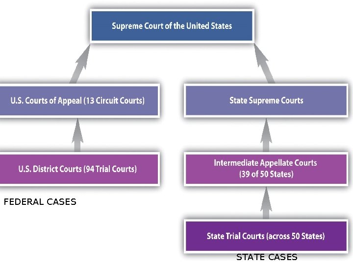 FEDERAL CASES STATE CASES 
