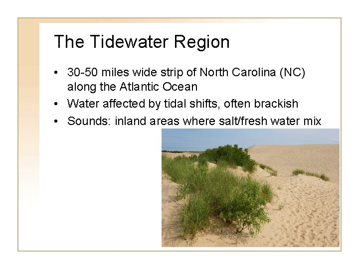 The Tidewater Region • 30 -50 miles wide strip of North Carolina (NC) along